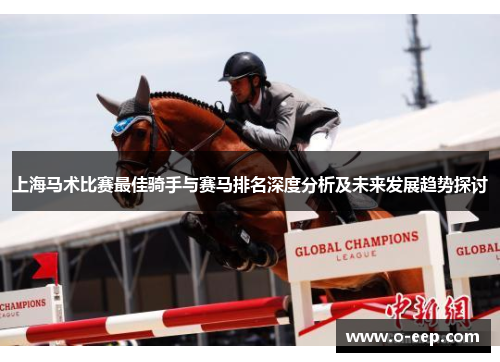 上海马术比赛最佳骑手与赛马排名深度分析及未来发展趋势探讨