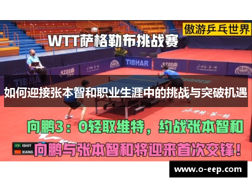 如何迎接张本智和职业生涯中的挑战与突破机遇